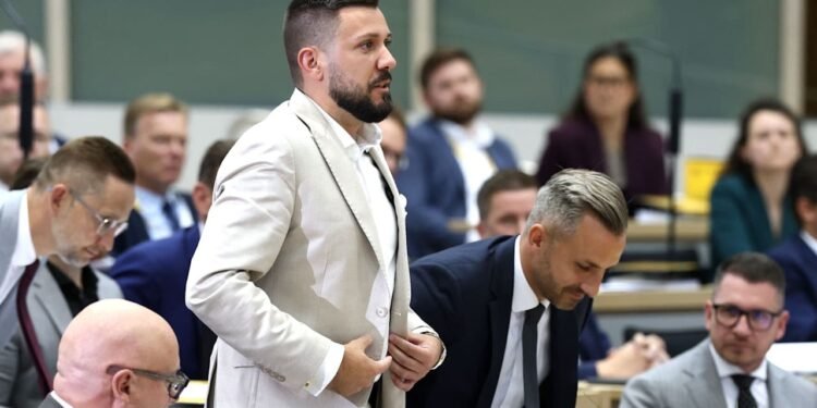 AfD dobio jednu od najviših parlamentarnih funkcija, najavljeni prosvjedi