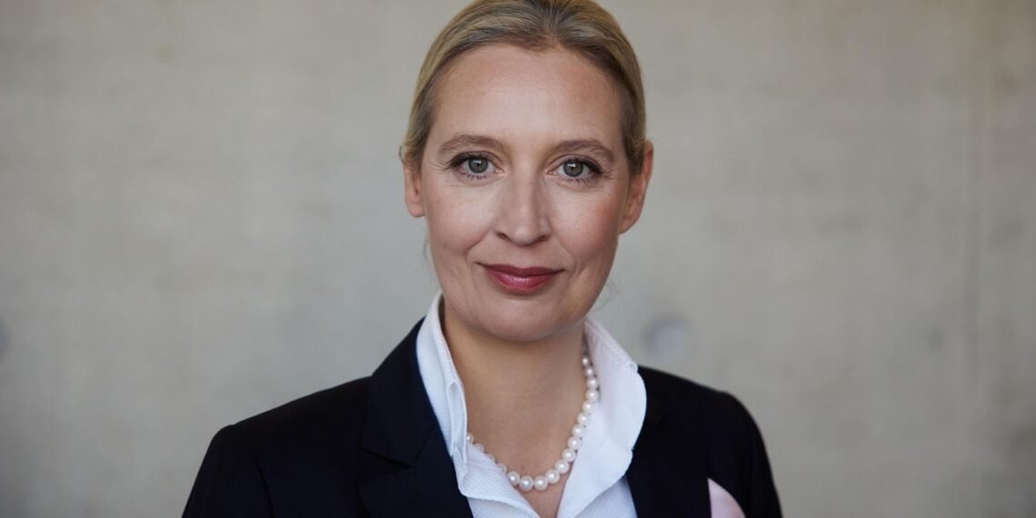 Hakeri objavili više od 420.000 e-mailova AfD-a: Nove sumnje u vezi s Alice Weidel